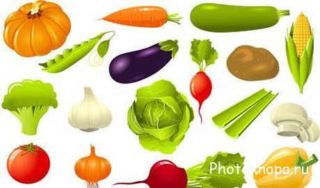    - vegetables